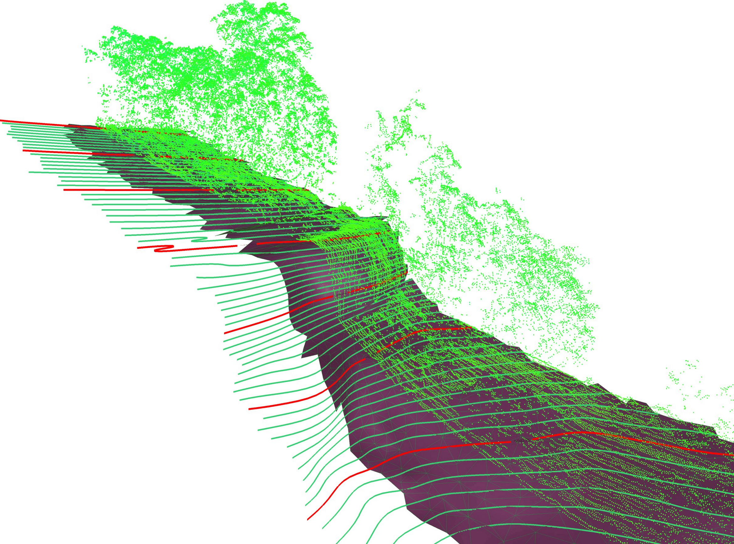 3D LiDAR survey in heavily vegetated environments